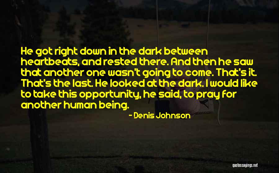 Middlemist Camellia Quotes By Denis Johnson Middlemist Camellia Quotes By Denis Johnson