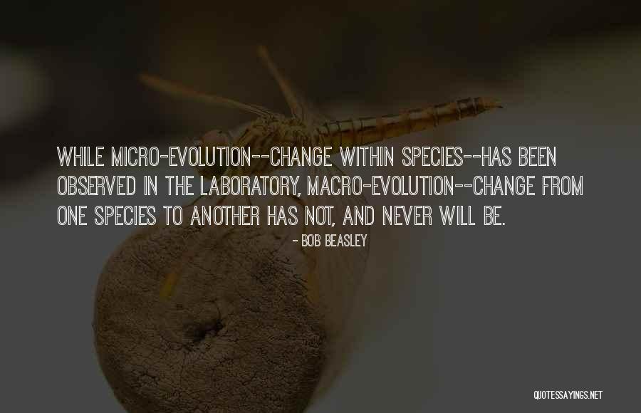 Mideo Cruz Quotes By Bob Beasley Mideo Cruz Quotes By Bob Beasley