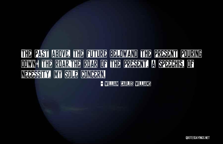 Midflash Quotes By William Carlos Williams Midflash Quotes By William Carlos Williams