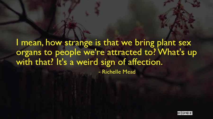 Midgardia Quotes By Richelle Mead Midgardia Quotes By Richelle Mead
