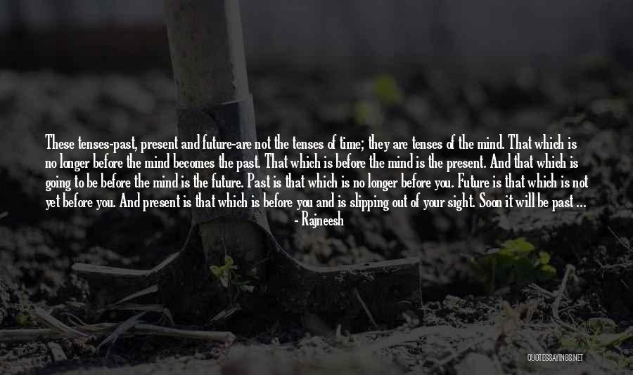 Midges Bugs Quotes By Rajneesh Midges Bugs Quotes By Rajneesh