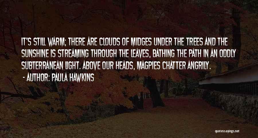 Midges Quotes By Paula Hawkins