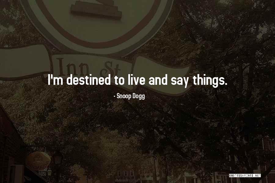 Midgetts Quotes By Snoop Dogg Midgetts Quotes By Snoop Dogg