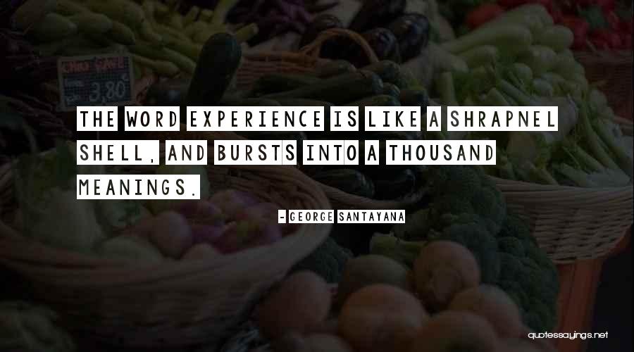 Midjordan Quotes By George Santayana Midjordan Quotes By George Santayana