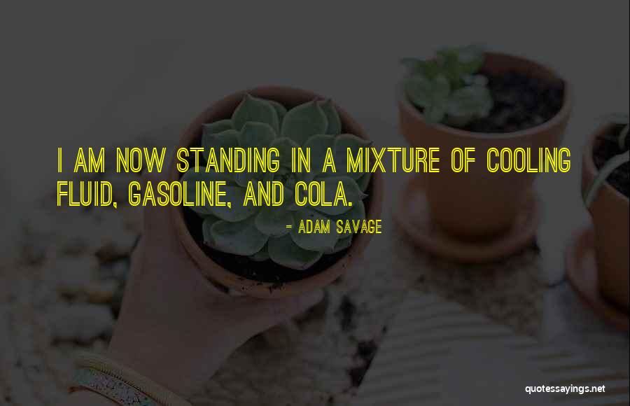 Midnight Organic Quotes By Adam Savage Midnight Organic Quotes By Adam Savage