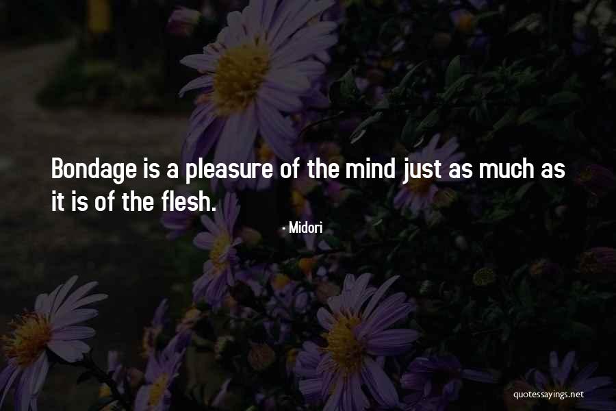 Midori Quotes 580804 Midori Quotes 580804