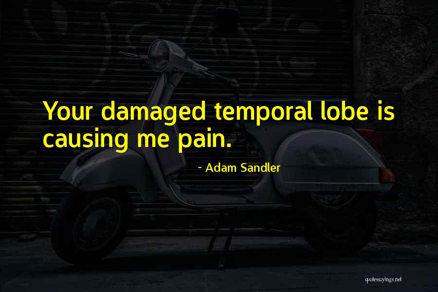 Midshipmen Ranks Quotes By Adam Sandler Midshipmen Ranks Quotes By Adam Sandler