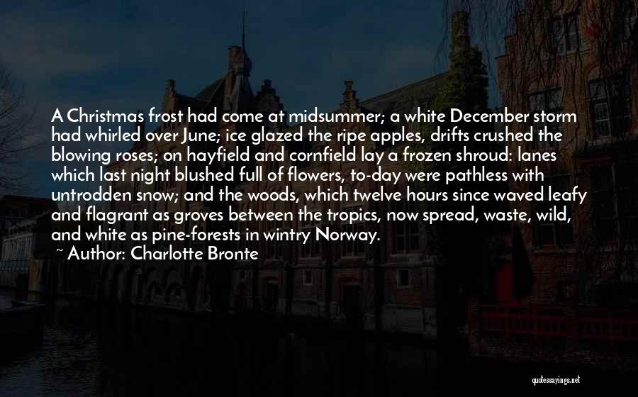 Midsummer Day Quotes By Charlotte Bronte