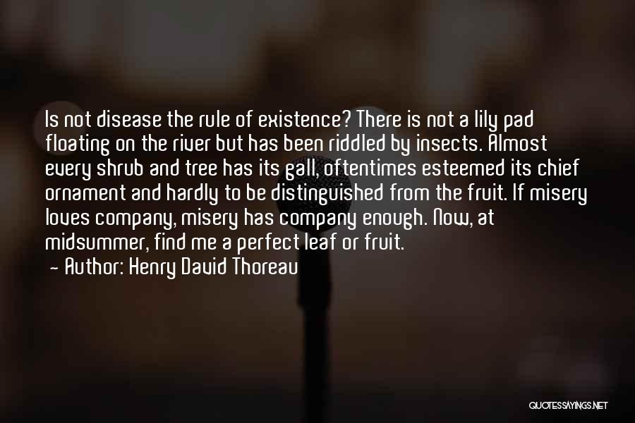 Midsummer Quotes By Henry David Thoreau