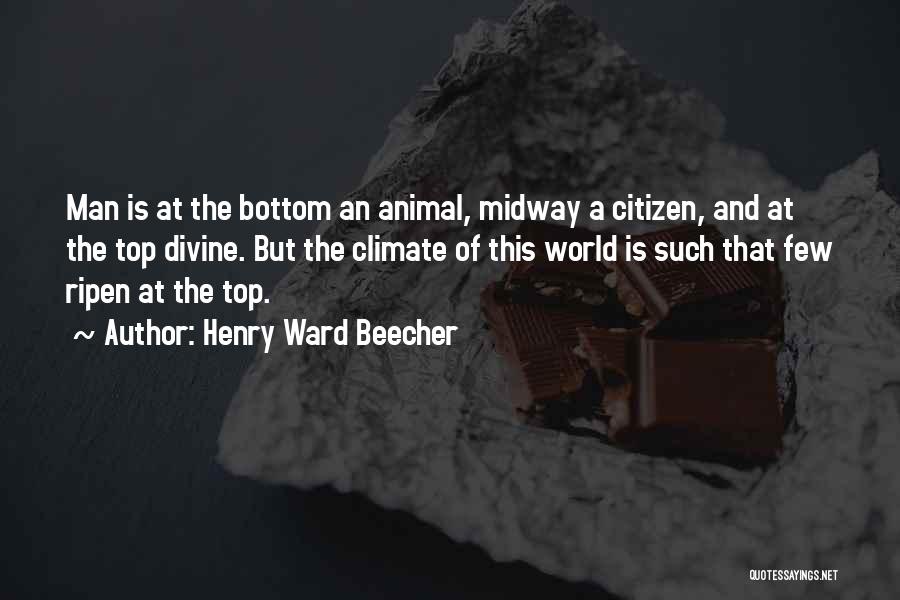 Midway Quotes By Henry Ward Beecher