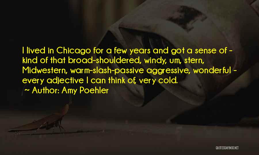 Midwestern Quotes By Amy Poehler