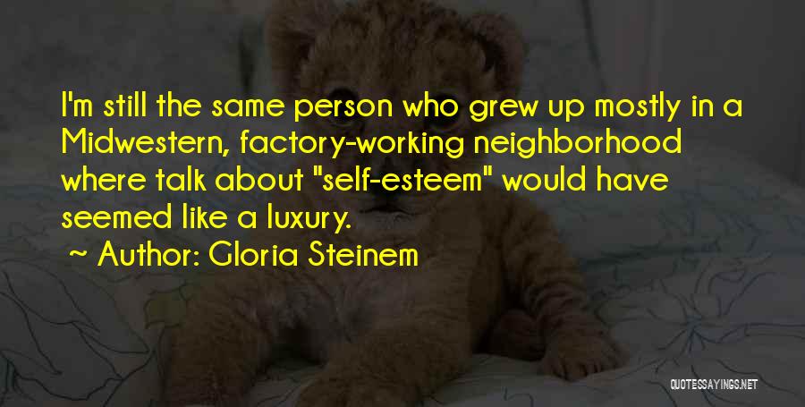 Midwestern Quotes By Gloria Steinem