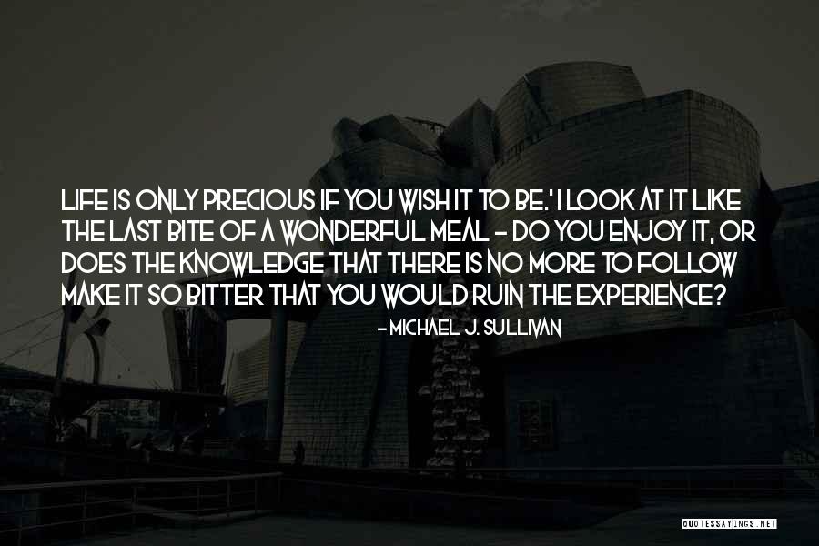 Mieke Dumont Quotes By Michael J. Sullivan Mieke Dumont Quotes By Michael J. Sullivan