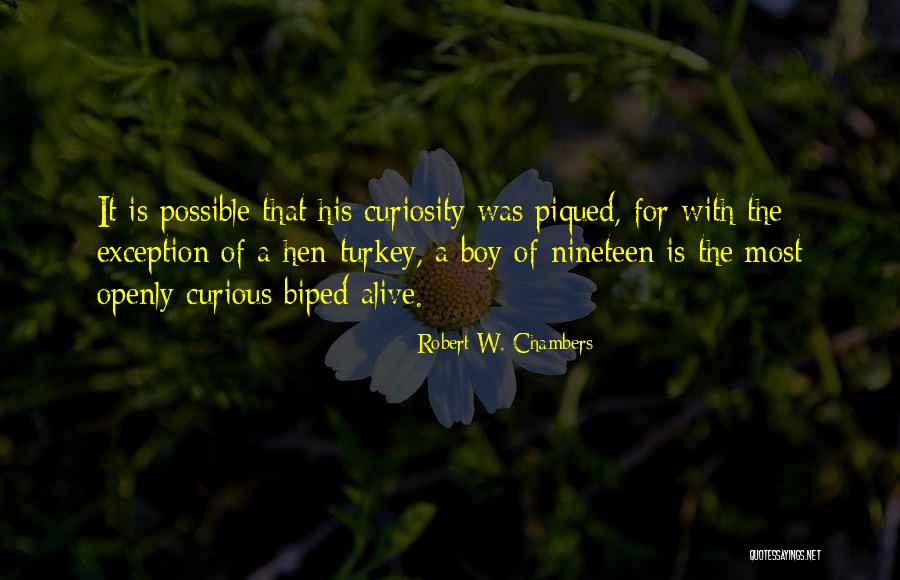 Mieko Hirota Quotes By Robert W. Chambers Mieko Hirota Quotes By Robert W. Chambers