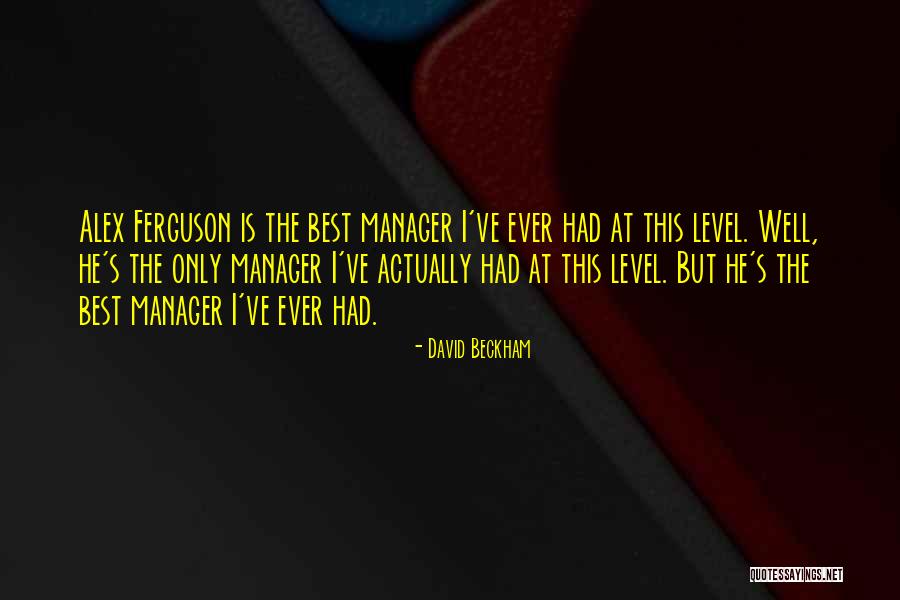 Mielikki D D Quotes By David Beckham Mielikki D D Quotes By David Beckham