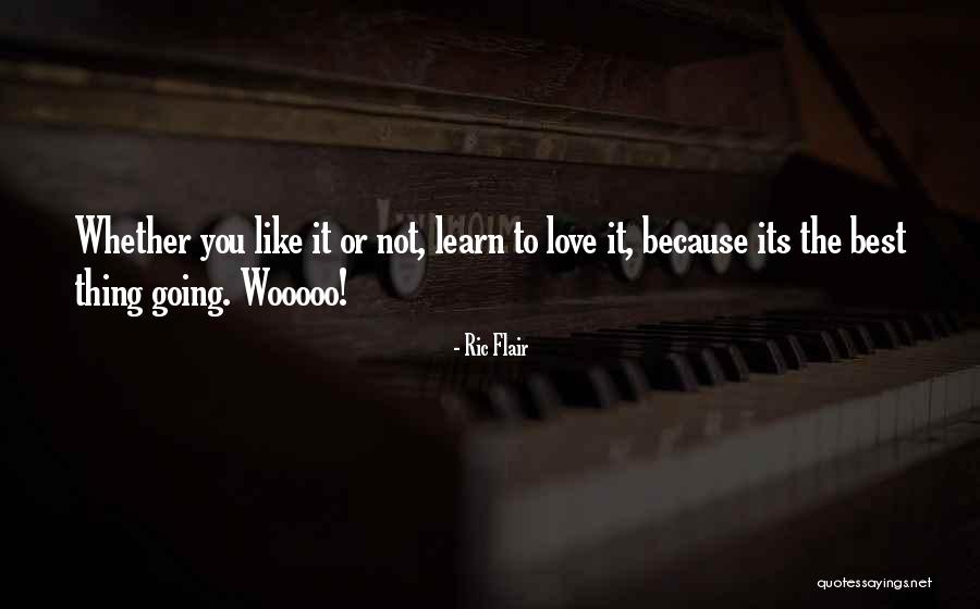 Miere De Albine Quotes By Ric Flair Miere De Albine Quotes By Ric Flair