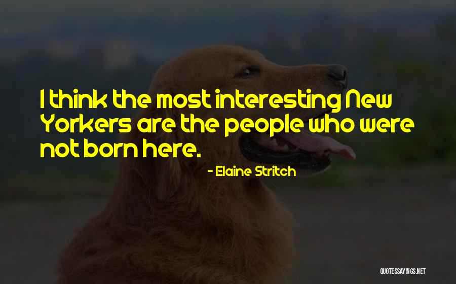 Miere De Rapita Quotes By Elaine Stritch Miere De Rapita Quotes By Elaine Stritch