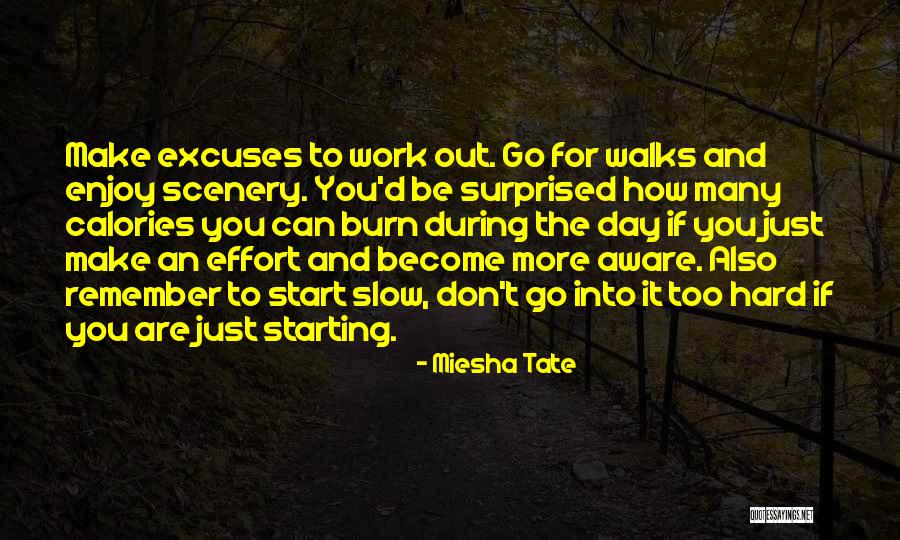 Miesha Tate Quotes 363907 Miesha Tate Quotes 363907