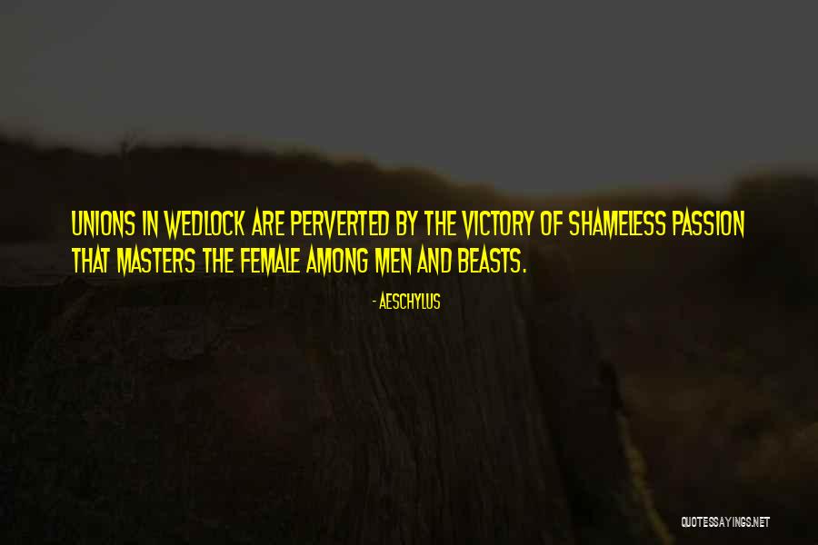 Miffy Bunny Quotes By Aeschylus Miffy Bunny Quotes By Aeschylus