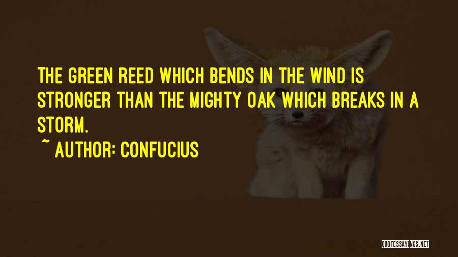 Mighty Oak Quotes By Confucius