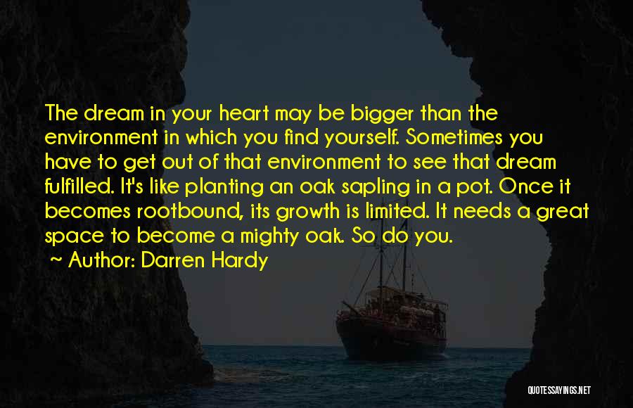 Mighty Oak Quotes By Darren Hardy