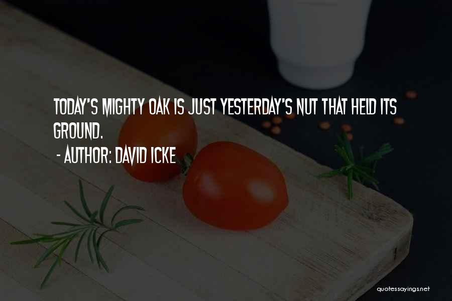 Mighty Oak Quotes By David Icke