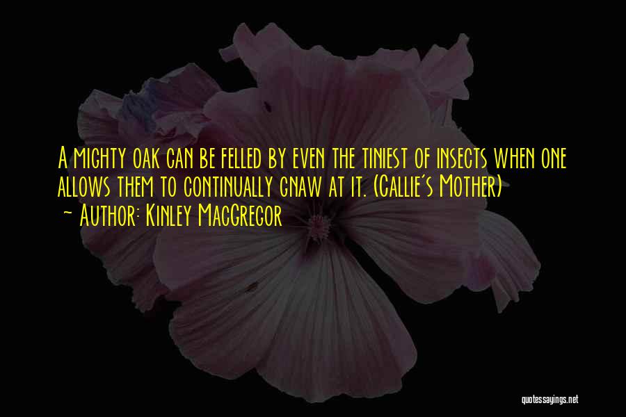 Mighty Oak Quotes By Kinley MacGregor