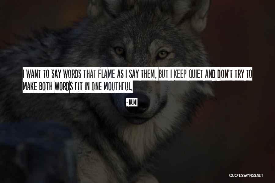Mignolo Epistemic Disobedience Quotes By Rumi Mignolo Epistemic Disobedience Quotes By Rumi