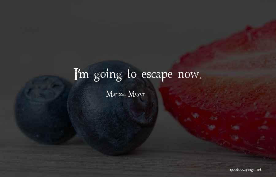 Migo Song Quotes By Marissa Meyer Migo Song Quotes By Marissa Meyer
