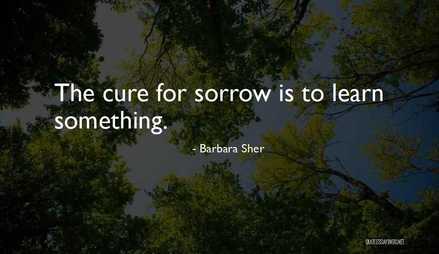 Migraineur Quotes By Barbara Sher