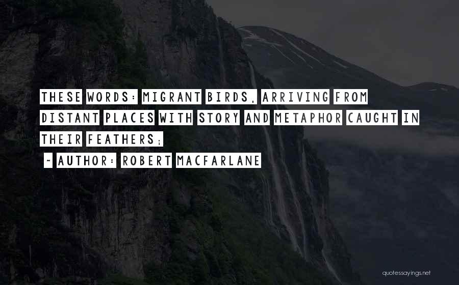 Migrant Birds Quotes By Robert Macfarlane
