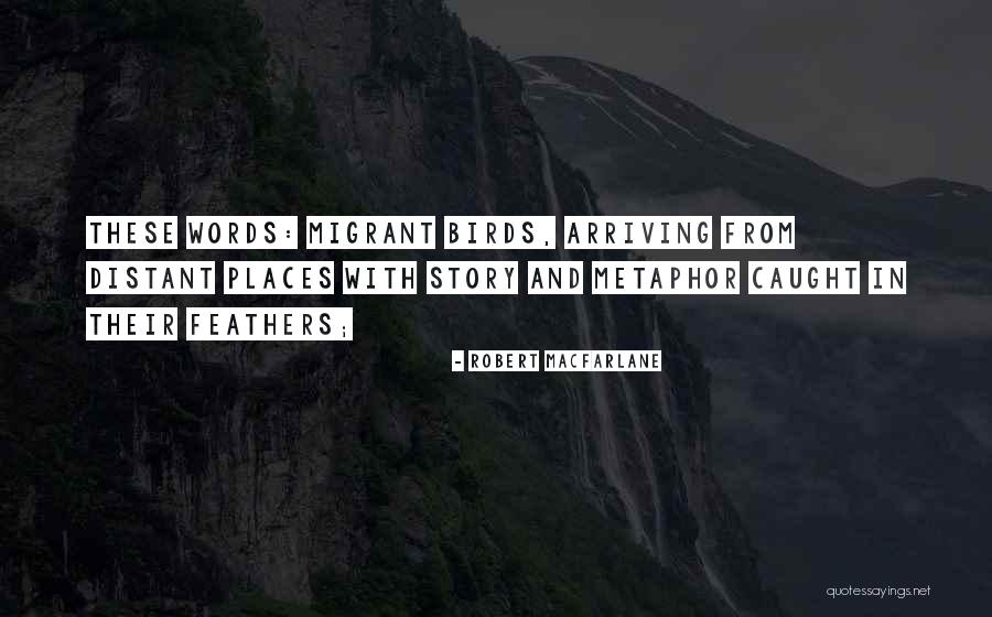 Migrant Birds Quotes By Robert Macfarlane Migrant Birds Quotes By Robert Macfarlane