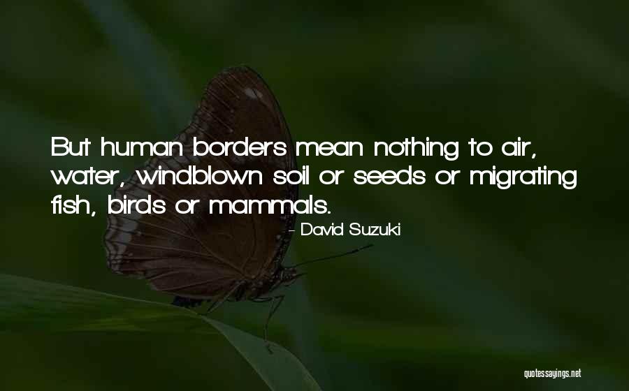 Migrating Quotes By David Suzuki Migrating Quotes By David Suzuki