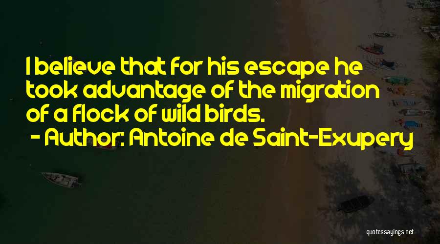 Migration Quotes By Antoine De Saint-Exupery