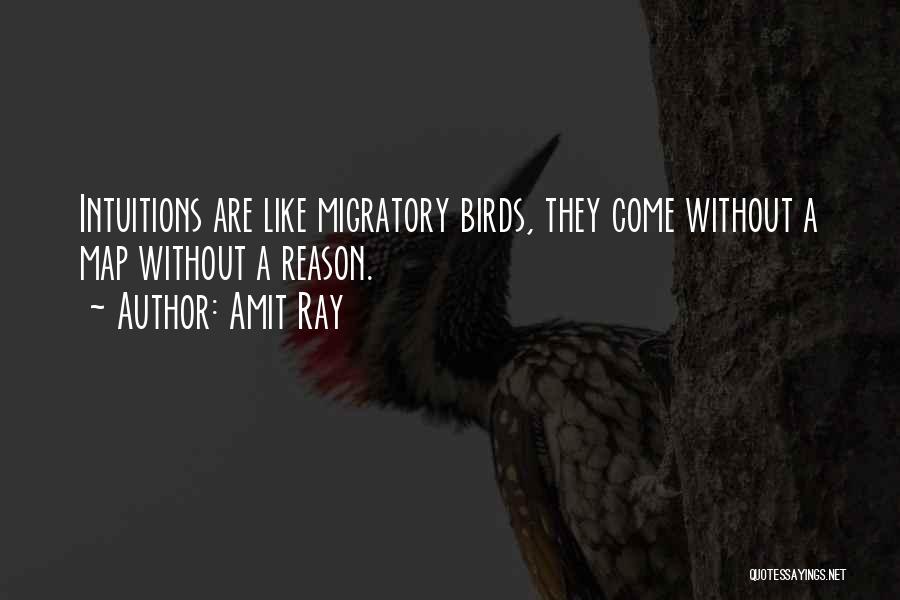 Migratory Birds Quotes By Amit Ray