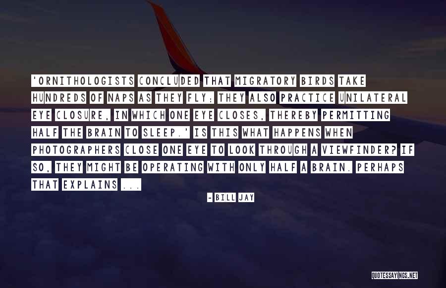 Migratory Quotes By Bill Jay Migratory Quotes By Bill Jay