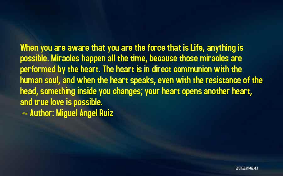 Miguel Angel Ruiz Quotes 1327910