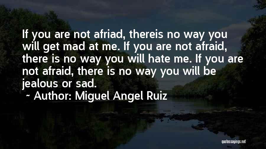 Miguel Angel Ruiz Quotes 1951165