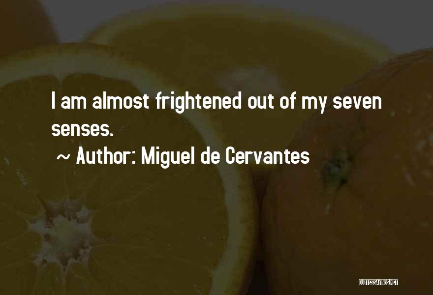 Miguel De Cervantes Quotes 1445049