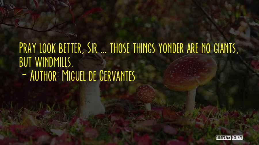 Miguel De Cervantes Quotes 179826