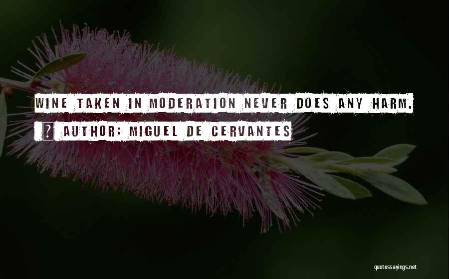 Miguel De Cervantes Quotes 1933195