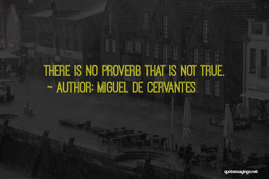 Miguel De Cervantes Quotes 910390