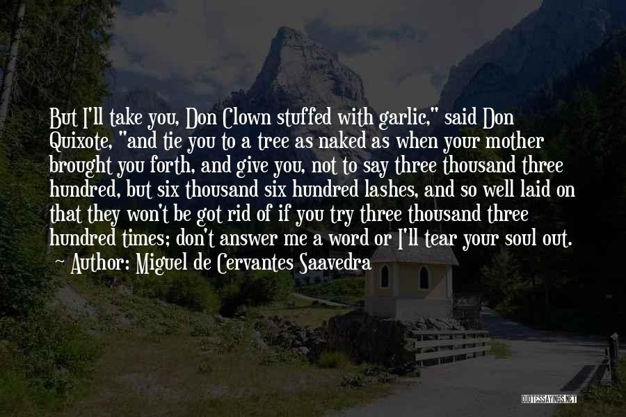 Miguel De Cervantes Saavedra Don Quixote Quotes By Miguel De Cervantes Saavedra