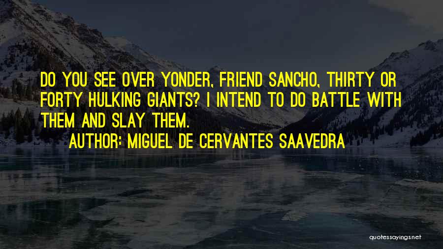 Miguel De Cervantes Saavedra Quotes 1020165