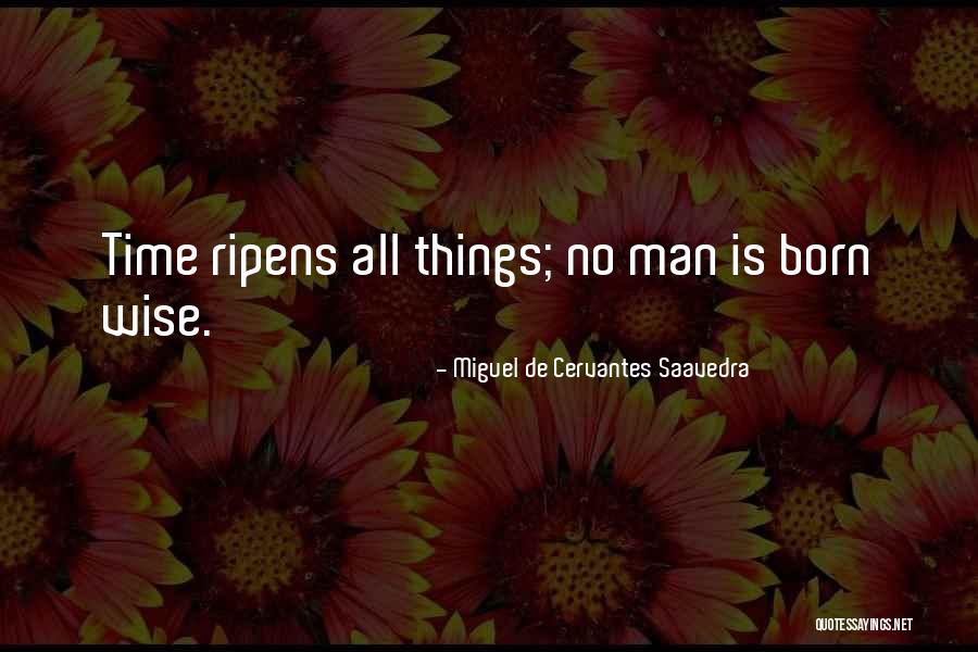 Miguel De Cervantes Saavedra Quotes 1248084 Miguel De Cervantes Saavedra Quotes 1248084
