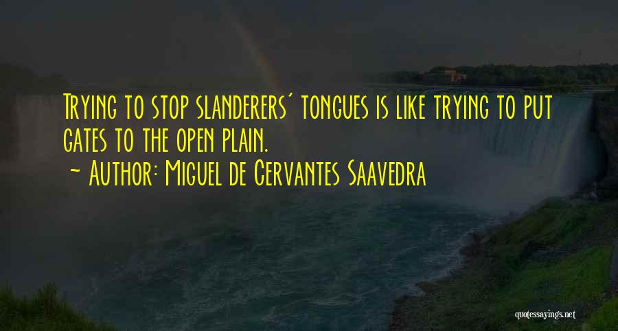 Miguel De Cervantes Saavedra Quotes 2153801