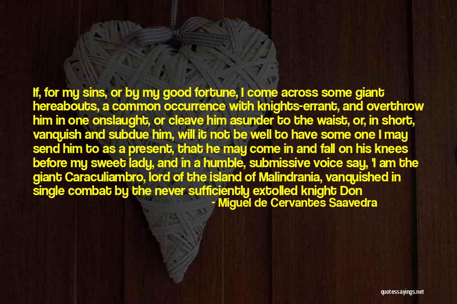 Miguel De Cervantes Saavedra Quotes 240429 Miguel De Cervantes Saavedra Quotes 240429