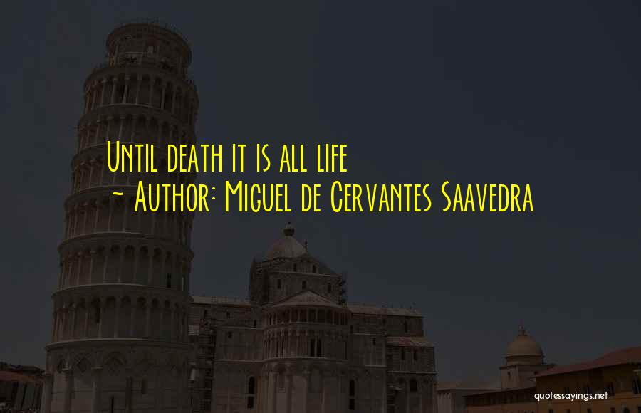 Miguel De Cervantes Saavedra Quotes 294153