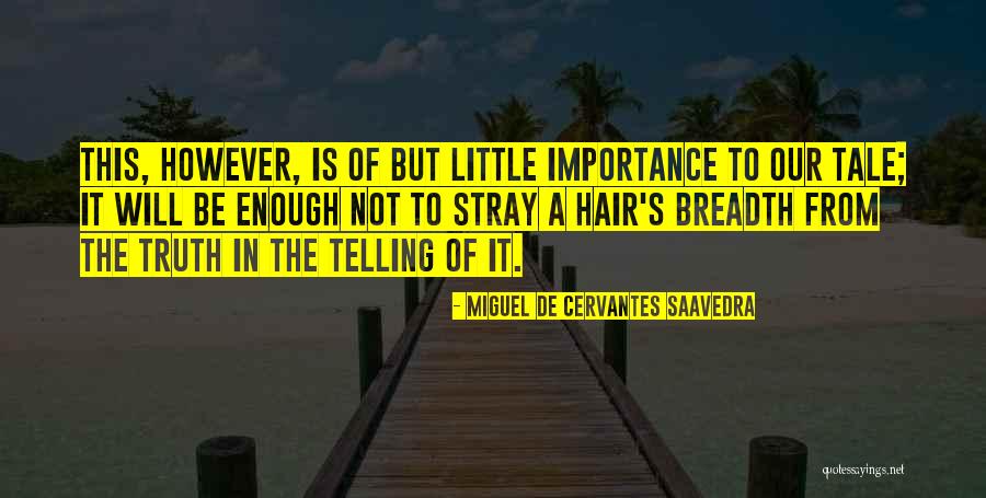 Miguel De Cervantes Saavedra Quotes 896827 Miguel De Cervantes Saavedra Quotes 896827