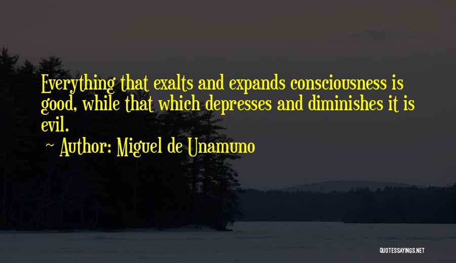 Miguel De Unamuno Quotes 1092456